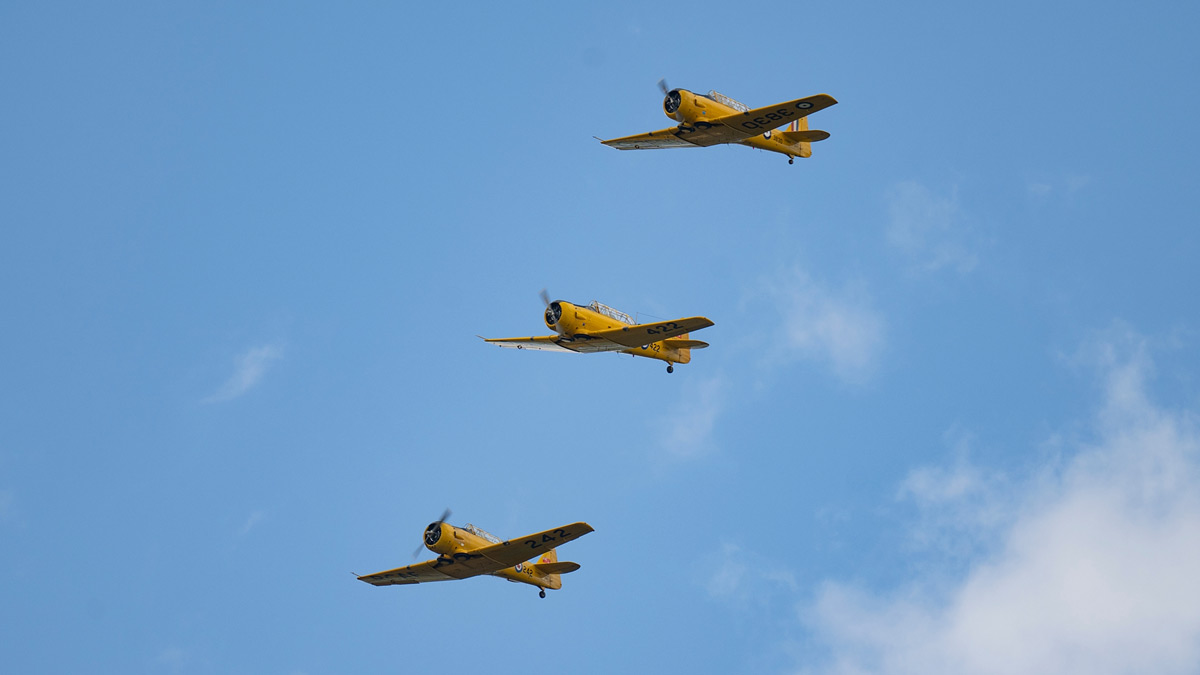 Three yellow Harvard airplanes in flight