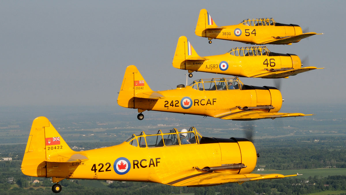 Four yellow planes flying in formation against a clear sky.