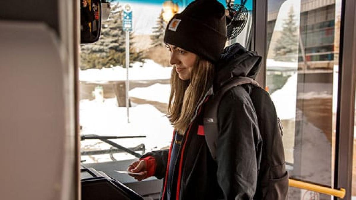 student boarding bus