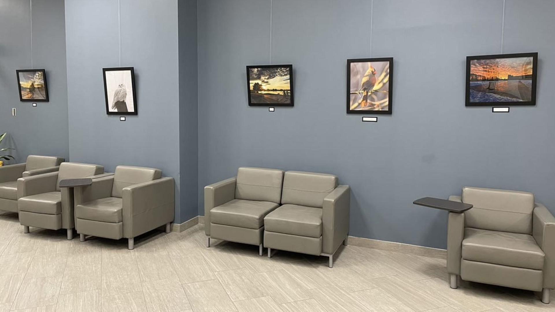 Artwork displayed on the walls of the First Floor Gallery, Barrie City Hall