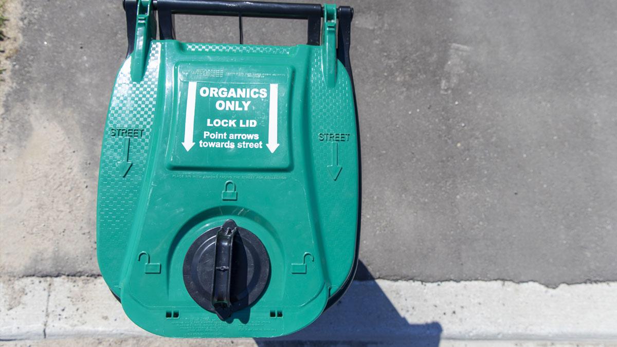 A green organics collection bin with a lock lid, labeled "ORGANICS ONLY," placed on a concrete surface with arrows pointing toward the street.