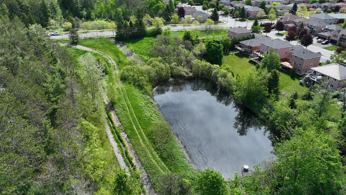 Aerial view of a small pond surrounded by greenery and residential buildings.