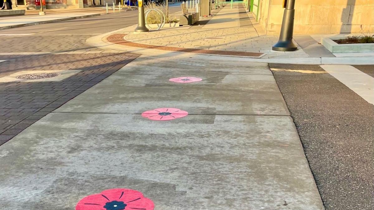 Downtown Barrie Poppy Crosswalk