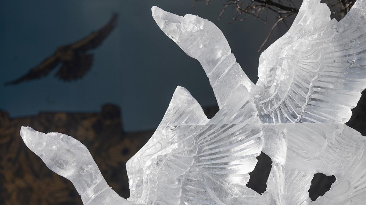 Ice sculpture of birds with their wings spread